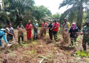Pantau Keamanan Lahan, Polsek Teluk Meranti Gencar Patroli Karhutla