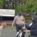 Lindungi Masyarakat dari Paparan Covid-19, Kapolsek Kerumutan Kerahkan Personil Lakukan Operasi Yustisi