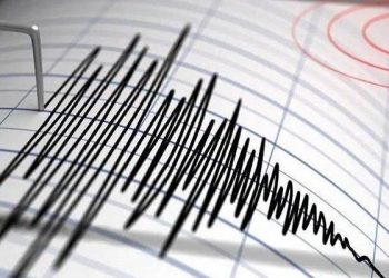 Gempa M 7,4 di Wilayah Larantuka NTT, Warga Maumere dan Ende Cari Tempat Perlindungan