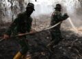 kebakaran lahan gambut, api bawah tanah gambut, penyebab kebakaran gambut sulit padam, fenomena api tak terlihat gambut, karhutla lahan gambut, karakter kebakaran gambut, smoldering fire gambut