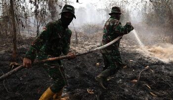 kebakaran lahan gambut, api bawah tanah gambut, penyebab kebakaran gambut sulit padam, fenomena api tak terlihat gambut, karhutla lahan gambut, karakter kebakaran gambut, smoldering fire gambut
